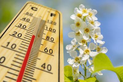 Fr?hling mit warmer Temperatur-stock-foto