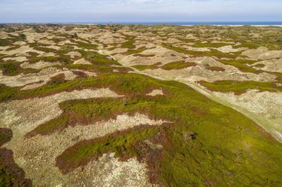 Drohne, Luftaufnahme, D?ne, D?nen, D?nenlandschaft, Insel, Spiekeroog, Ostfriesische Inseln, Nordsee, Wattenmeer, Natio-stock-photo