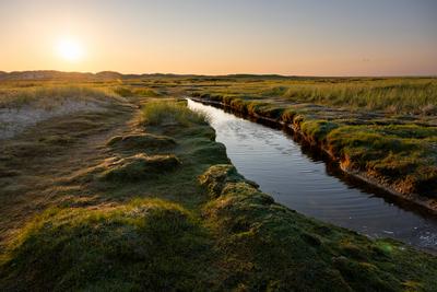 Norderney. 08 AUG 2024. Sonniger Abend in den D?nen um die M?wend?ne in der Osth?lfte von Norderney. OSTFRIESLAND. Ostfr-stock-foto