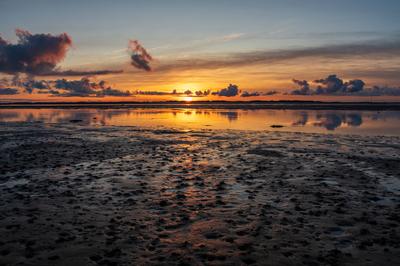 Wattwanderung zum Sonnenaufgang von Amrum nach F?hr *** Sunrise mudflat hike from Amrum to F?hr-stock-foto
