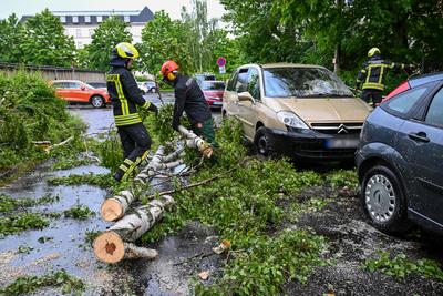 Leipzig - Starke Schauer und Gewitter ?ber der Messestadt: Baum st?rzt auf geparkte Autos-stock-foto