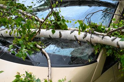 Leipzig - Starke Schauer und Gewitter ?ber der Messestadt: Baum st?rzt auf geparkte Autos-stock-foto