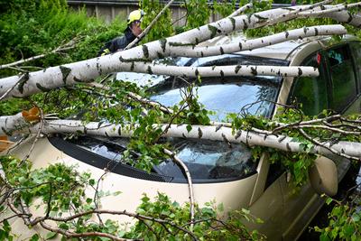 Leipzig - Starke Schauer und Gewitter ?ber der Messestadt: Baum st?rzt auf geparkte Autos-stock-foto
