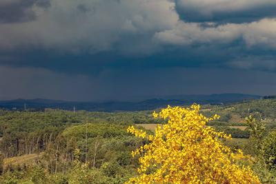 Fruehling (Fr?hling) im Siegerland-stock-foto