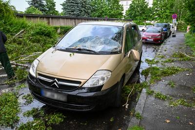 Leipzig - Starke Schauer und Gewitter ?ber der Messestadt: Baum st?rzt auf geparkte Autos-stock-foto