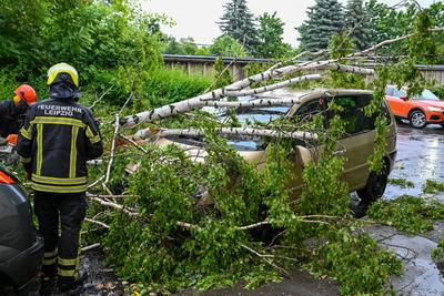 Leipzig - Starke Schauer und Gewitter ?ber der Messestadt: Baum st?rzt auf geparkte Autos-stock-foto