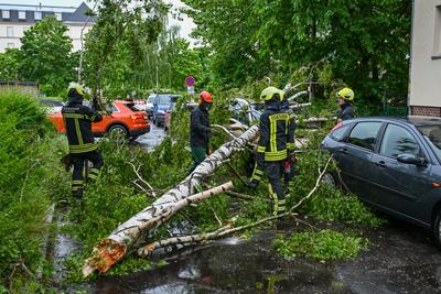 Leipzig - Starke Schauer und Gewitter ?ber der Messestadt: Baum st?rzt auf geparkte Autos-stock-foto