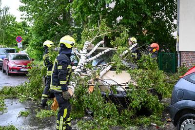 Leipzig - Starke Schauer und Gewitter ?ber der Messestadt: Baum st?rzt auf geparkte Autos-stock-foto