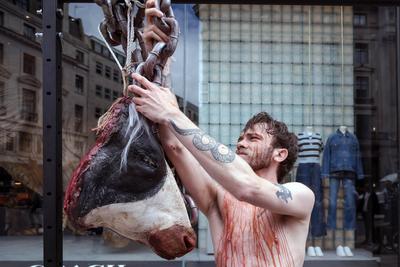 PETA Anti-Leather Display-stock-foto