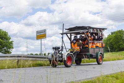 Herrentagsgruppe unterwegs-stock-foto