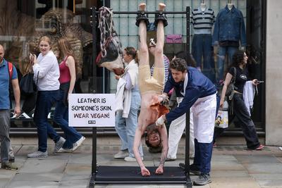 PETA Anti-Leather Display-stock-foto