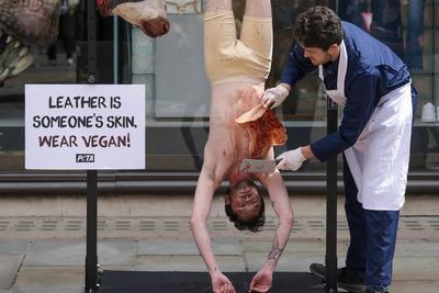PETA Anti-Leather Display-stock-foto
