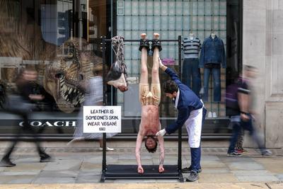 PETA Anti-Leather Display-stock-foto