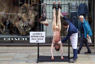 PETA Anti-Leather Display-stock-foto