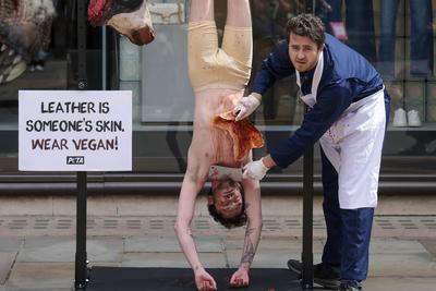 PETA Anti-Leather Display-stock-foto