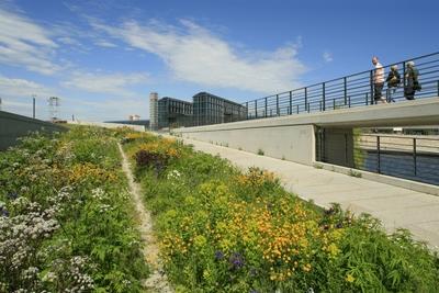 Blumenwiese im Spreebogenpark gestaltet von Weber & Saurer Solothurn Im Hintergrund der Berliner H-stock-foto
