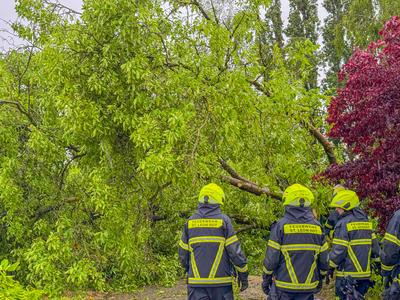 Schwere Unwetter ziehen ?ber Deutschland: Kr?ftige Gewitter mit Starkregen, Hagel und Sturmb?en - beeindruckende Gewitterzelle entl?dt sich, Blitze zucken am Himmel - 40 Jahre alter Baum st?rzt auf Stra?e, Feuerwehr muss anr?cken-stock-foto