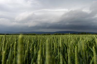 Gewitter in Hessen-stock-foto