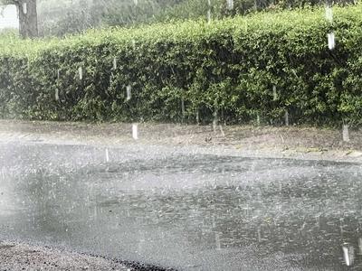 Asphalt Strasse steht durch Starkregen unter Wasser Gewitter mit Wassermassen und Hagel in Hamburg Hamburg Deutschland *** Asphalt road under water due to heavy rain Thunderstorm with masses of water and hail in Hamburg Hamburg Germany-stock-foto