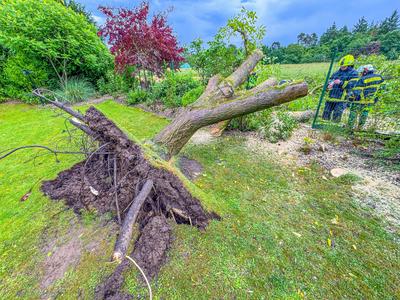 Schwere Unwetter ziehen ?ber Deutschland: Kr?ftige Gewitter mit Starkregen, Hagel und Sturmb?en - beeindruckende Gewitterzelle entl?dt sich, Blitze zucken am Himmel - 40 Jahre alter Baum st?rzt auf Stra?e, Feuerwehr muss anr?cken-stock-foto