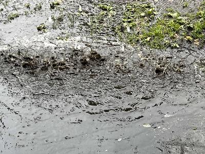 Asphalt Strasse steht durch Starkregen unter Wasser Gewitter mit Wassermassen und Hagel in Hamburg Hamburg Deutschland *** Asphalt road under water due to heavy rain Thunderstorm with masses of water and hail in Hamburg Hamburg Germany-stock-foto