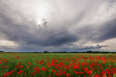 Unwetter ueber Brandenburg-stock-foto