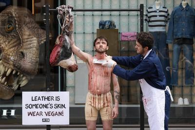 PETA Anti-Leather Display-stock-foto