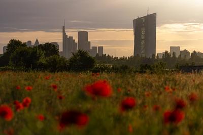 Die Europ?ische Zentralbank (EZB) in Frankfurt am Main-stock-photo