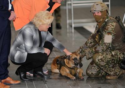 News Bilder des Tages Ein Kommandosoldat mit Hund am Beckenrand im modernen Wasserausbildungszentrum des Kommando Spezia-stock-foto