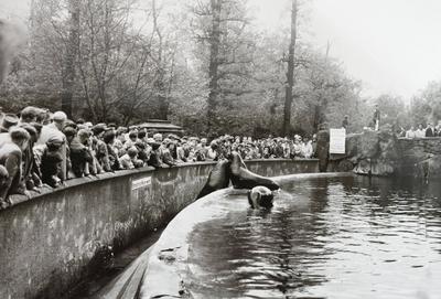 Zoo GDR, 20230101, Aufnahme ca. 1950, Berliner Zoo *** Zoo GDR, 20230101, photo ca 1950, Berlin Zoo-stock-photo
