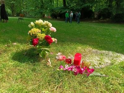 RECORD DATE NOT STATED Accident with 11 year old boy on step, collision after police patrol pursuit. Elisabeth park, Koe-stock-foto