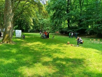 RECORD DATE NOT STATED Accident with 11 year old boy on step, collision after police patrol pursuit. Elisabeth park, Koe-stock-foto