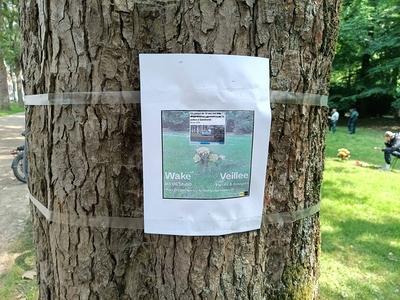 RECORD DATE NOT STATED Accident with 11 year old boy on step, collision after police patrol pursuit. Elisabeth park, Koe-stock-foto