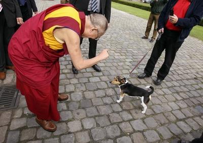 Bildnummer: 52121163  Datum: 21.09.2007  Copyright: imago/biky14. Dalai Lama (CHN/Religi?ses und politisches Oberhaupt der buddhistischen Tibeter) spielt mit einem Hund anl?sslich seines Besuches in M?nster, Personen , Tiere; 2007, M?nster, , Buddhistenf?hrer, Tenzin Gyatso, Hunde, S?ugetiere; , quer, Kbdig, Einzelbild, Deutschland, Buddhismus, Religion, Randbild, People-stock-foto