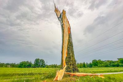 Downburst in Superzelle richtet schwere Sch?den in Ulm an - Anwohner im Juni mit Schneeeschieber unterwegs: Mehrere B?ume auf halber H?he einfach abgerissen - Ganze Ortschaft in Winterlandschaft verwandelt, Fensterscheibe durchschlagen - Tornadoverdach-stock-photo