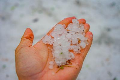 Downburst in Superzelle richtet schwere Sch?den in Ulm an - Anwohner im Juni mit Schneeeschieber unterwegs: Mehrere B?ume auf halber H?he einfach abgerissen - Ganze Ortschaft in Winterlandschaft verwandelt, Fensterscheibe durchschlagen - Tornadoverdach-stock-photo