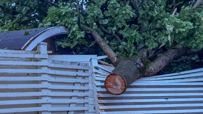 Downburst in Superzelle richtet schwere Sch?den in Ulm an - Anwohner im Juni mit Schneeeschieber unterwegs: Mehrere B?ume auf halber H?he einfach abgerissen - Ganze Ortschaft in Winterlandschaft verwandelt, Fensterscheibe durchschlagen - Tornadoverdach-stock-photo