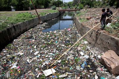 World Environment Day, in India-stock-photo