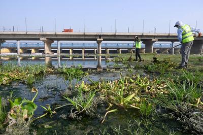 Yamuna Bank Cleanup Drive On World Environment Day-stock-photo