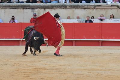 Feria de Pentecote 2025-stock-photo