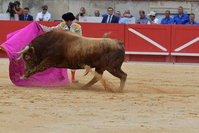 Feria de Pentecote 2025-stock-photo