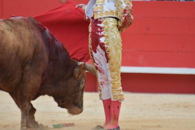 Feria de Pentecote 2025-stock-photo