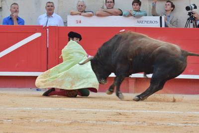 Feria de Pentecote 2025-stock-photo