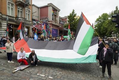 Demonstranten mit Palaestinenser Fahnen Banner und Schildern Ca. 200 Palaestinenser und Unterstuetzer demonstrierten vor der Roten Flora gegen Israel und den Krieg im Gaza Streifen.Die Rote Flora Anh?nger hatten sich immer wieder solidarisch mit Israel gezeigt. Die Polizei war mit zahlreichen Kr?ften anwesend. Hamburg Deutschland *** Demonstrators with Palestinian flags banners and signs Approximately 200 Palestinians and supporters demonstrated in front of the Rote Flora against Israel and the war in the Gaza Strip The Rote Flora supporters had repeatedly shown solidarity with Israel The police were present with numerous forces Hamburg Germany-stock-foto