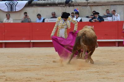 Feria de Pentecote 2025-stock-photo