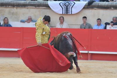 Feria de Pentecote 2025-stock-photo