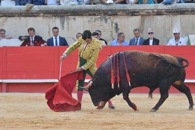 Feria de Pentecote 2025-stock-photo
