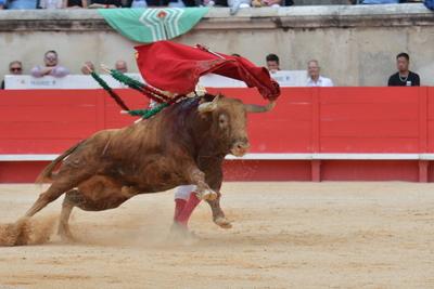 Feria de Pentecote 2025-stock-photo
