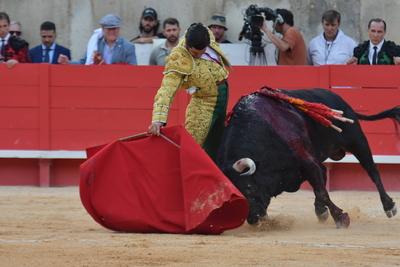 Feria de Pentecote 2025-stock-photo