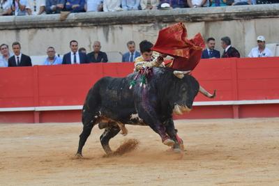 Feria de Pentecote 2025-stock-photo